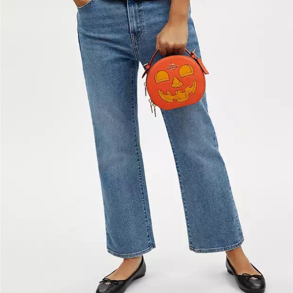Canteen Crossbody Bag With Halloween Pumpkin Print - Picture 5 of 9